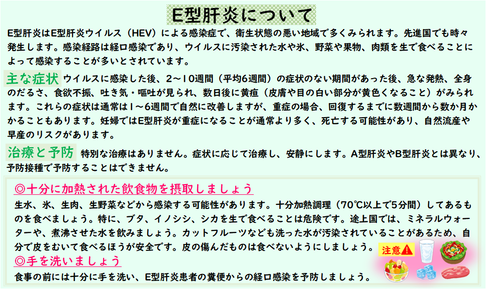 E型肝炎について