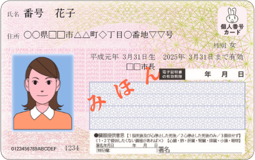 番号花子（表）