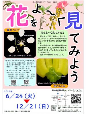 花をよ～く見てみよう