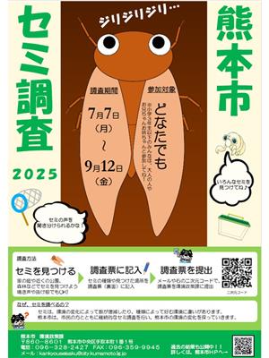 熊本市セミ調査2025