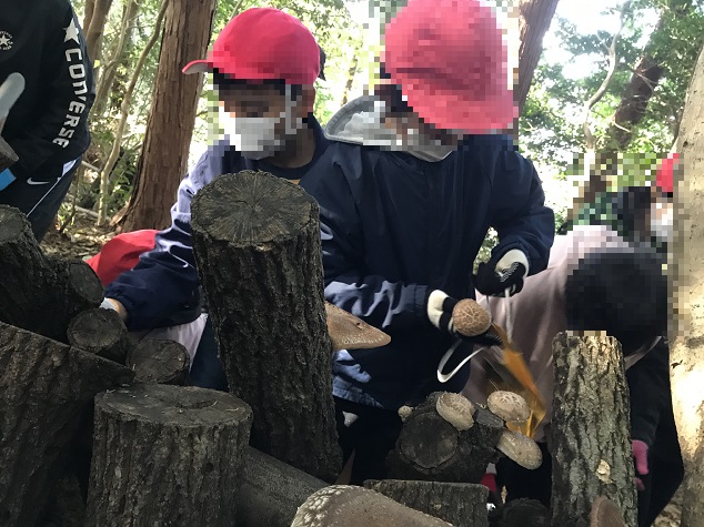 学校林2 学校林2