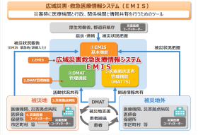 EMIS関係図