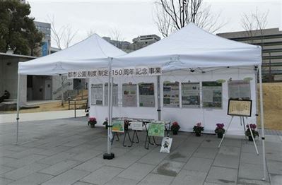 辛島公園 辛島公園