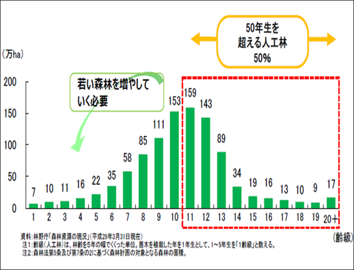 グラフ グラフ