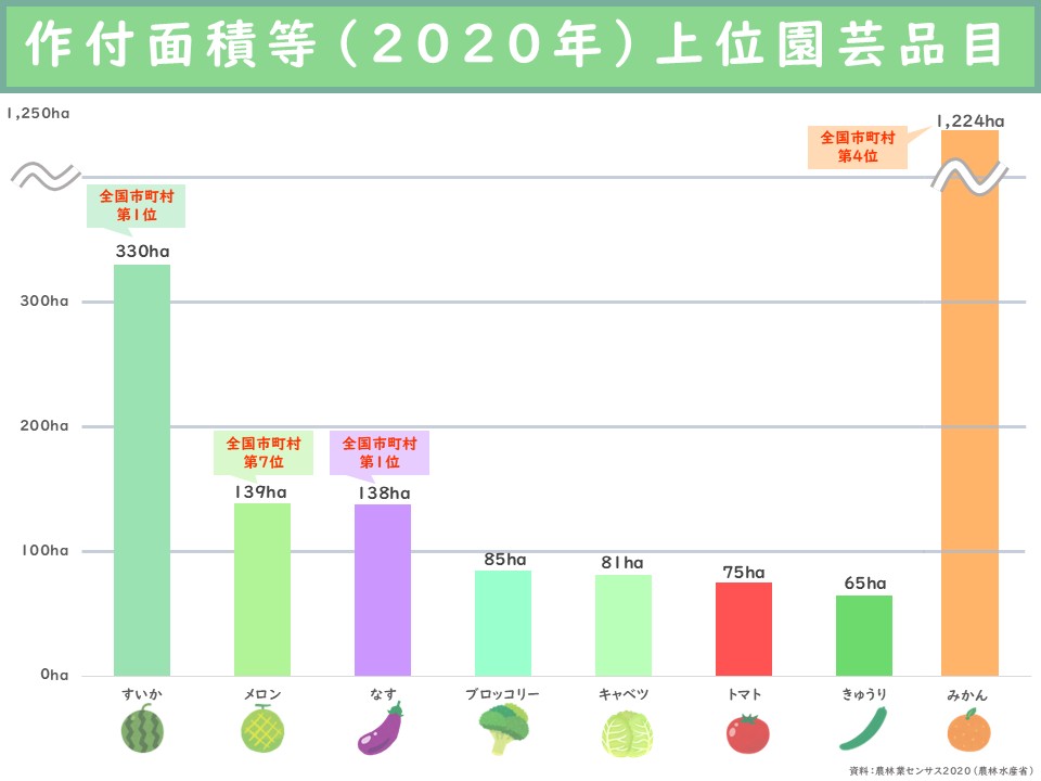 作付面積等（2020年）上位園芸品目