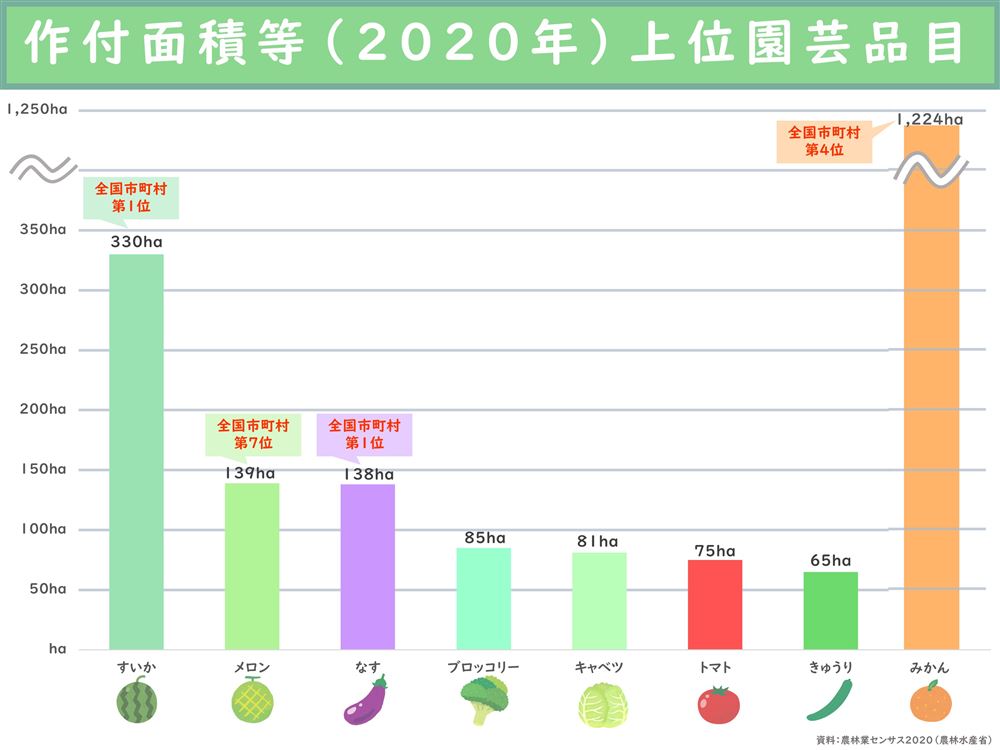 作付面積等（2020年）の上位品目の画像