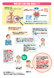 リーフレット（裏）
