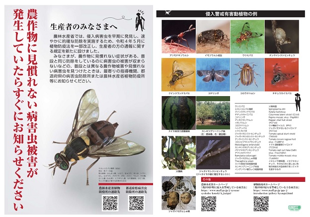 周知用チラシ