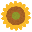 ひまわり
