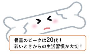 骨量のピークは20代、若い時からの生活習慣が大切です。