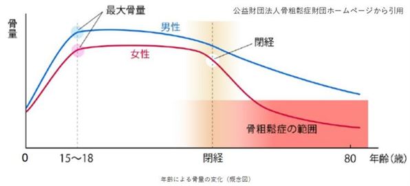 加齢により、骨量は減少します