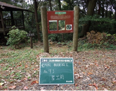 案内板 前 案内板 前