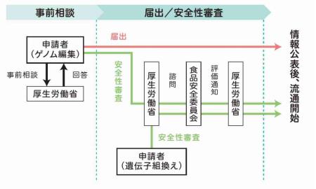 安全性審査（出典：厚労省HP）