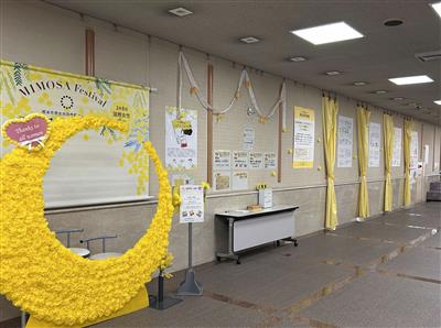 ミモザ月間展示の様子