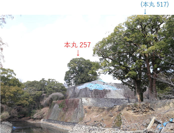 本丸257-2
