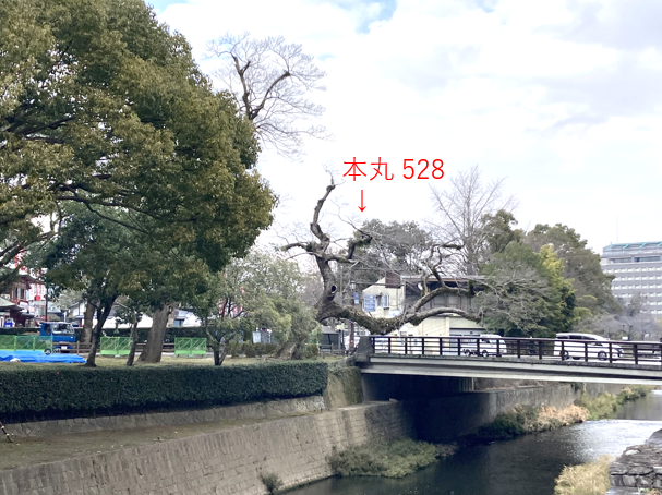 本丸528-2