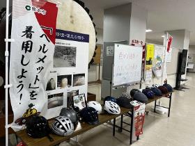 展示