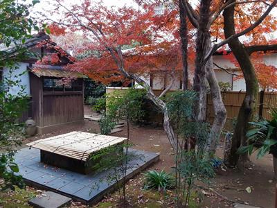 紅葉井戸回り