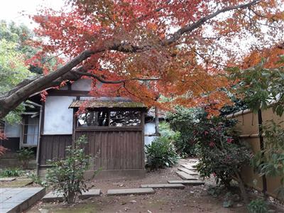 紅葉台所を見る