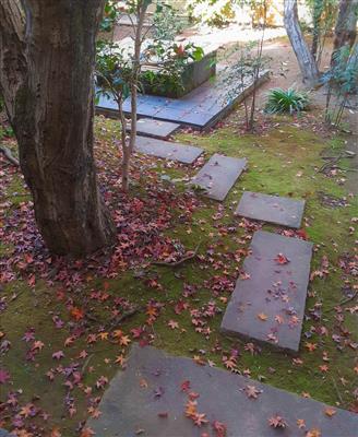 井戸回り石畳紅葉