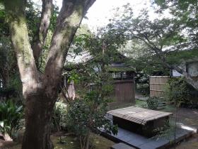 中庭