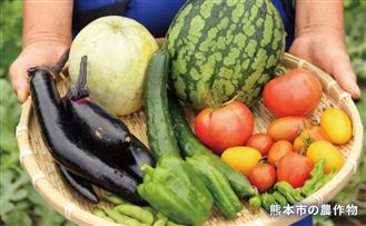 野菜