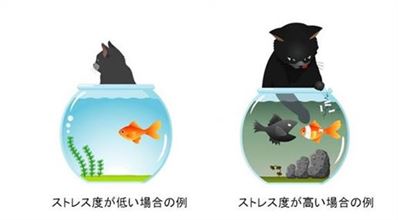 こころの体温計（猫