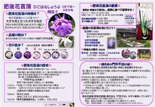 肥後花菖蒲（日本語版）1