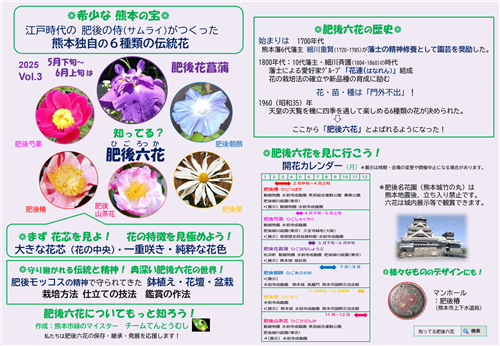 肥後花菖蒲（日本語版）2