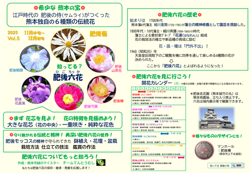 肥後菊2（日本語版）