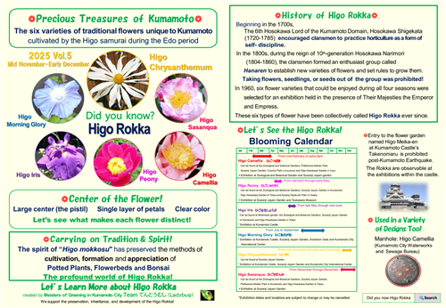 肥後菊2（英語版）