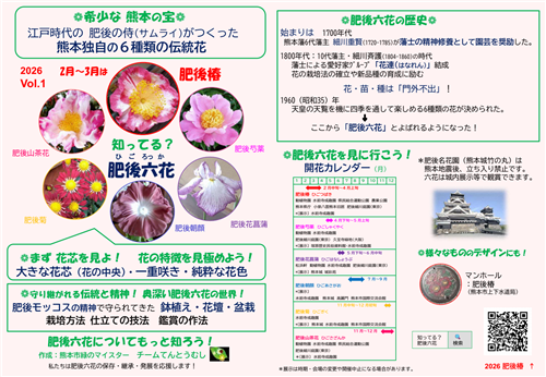 肥後椿(日本語版2)