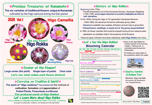 肥後椿（英語版2）