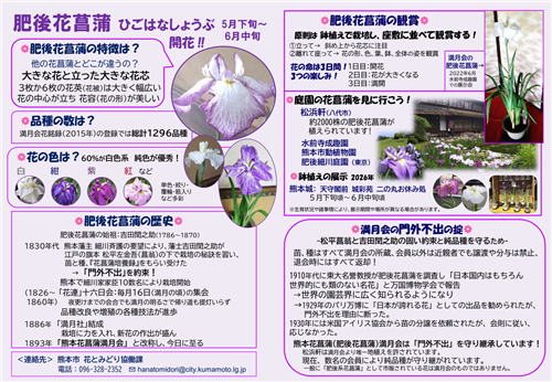 知ってる？肥後六花（肥後花菖蒲）のリーフレットができました