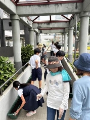 みんなで植える