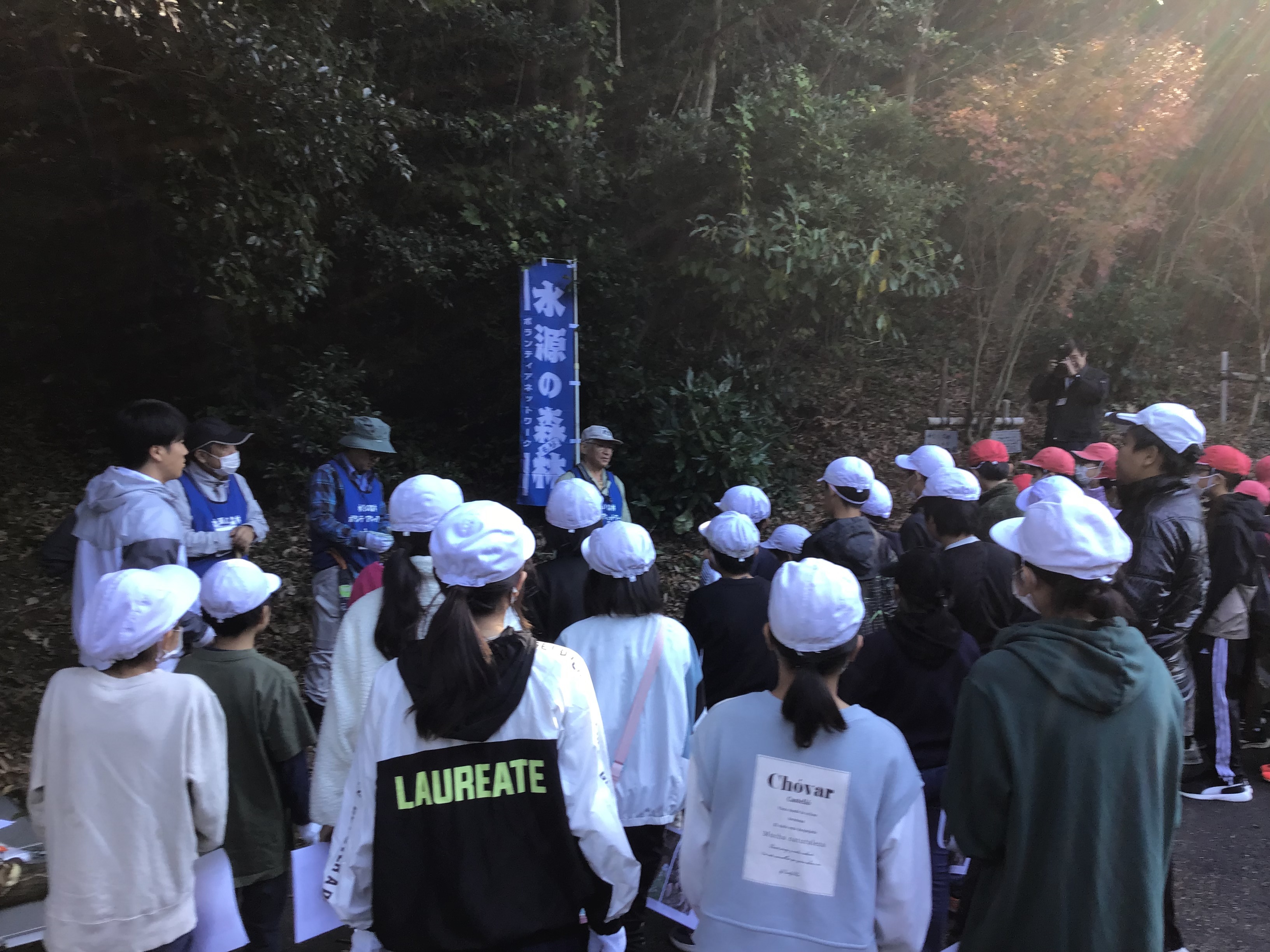 学校林 学校林