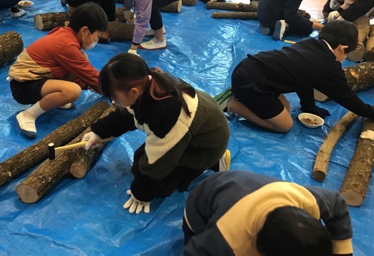 椎茸のコマ打ち 椎茸のコマ打ち