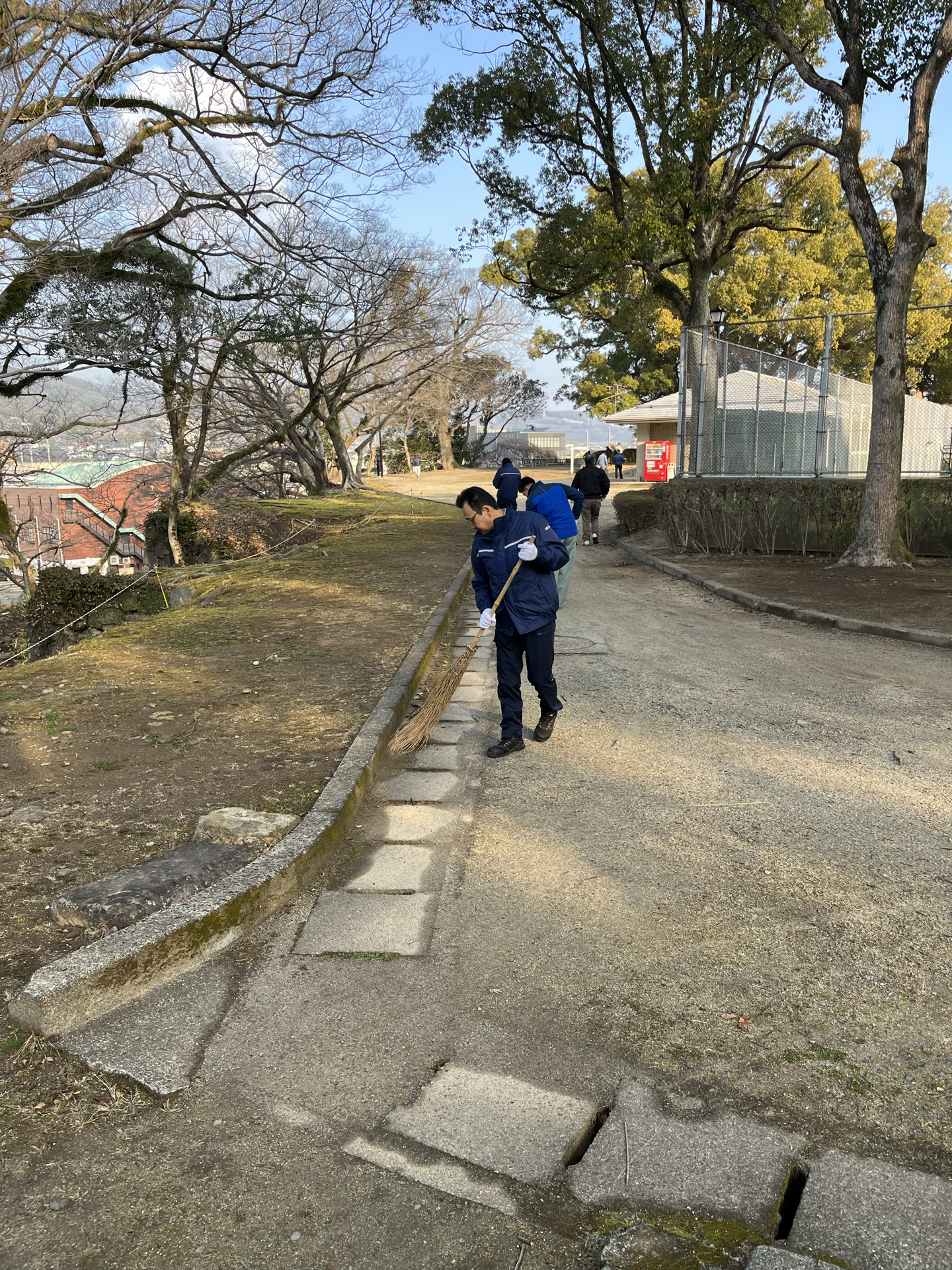 掲載写真案