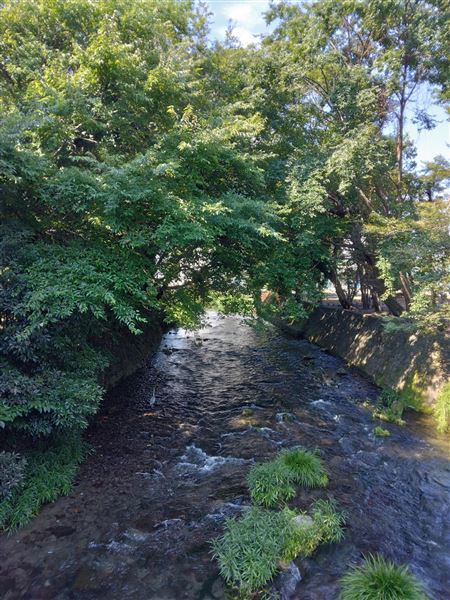 景観(9)No.153_出水すなとりばし