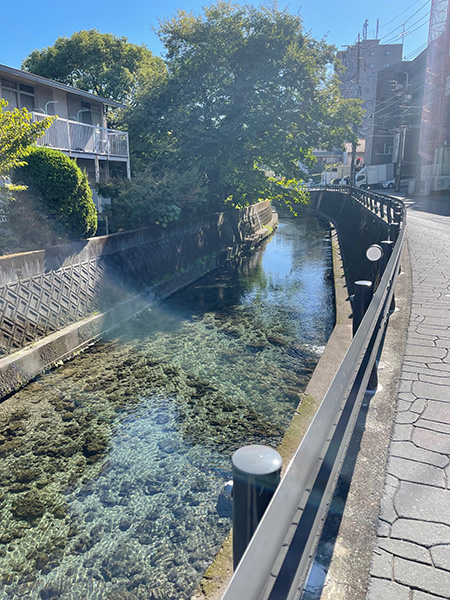 R6景観(2)017中央区水前寺公園(藻器堀川)