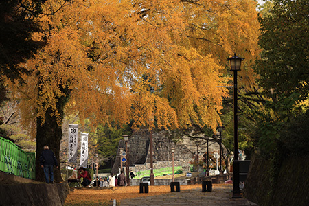 R6景観(2)102中央区古京町(熊本博物館前)