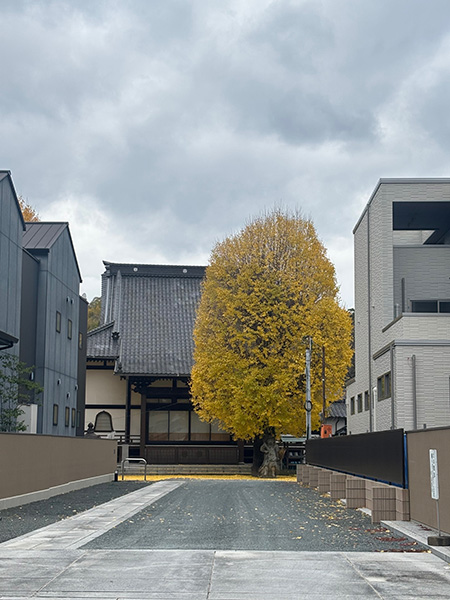 R6景観(2)084中央区細工町(阿弥陀寺)