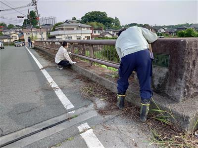 ツタ撤去