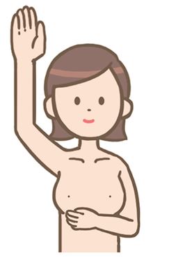 触ってチェックしている絵