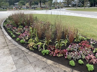 植物園完成写真