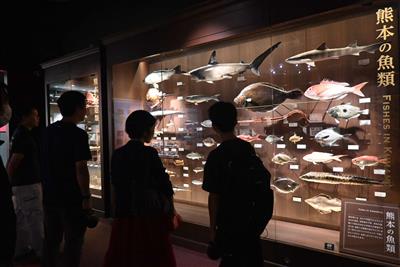 プレミアムナイトミュージアム