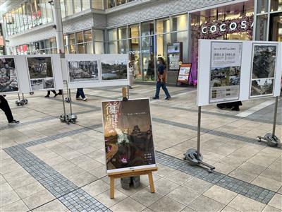 R6パネル展