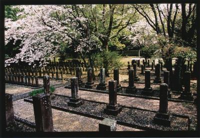 七本官軍墓地