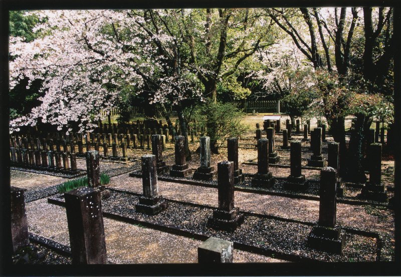 七本官軍墓地
