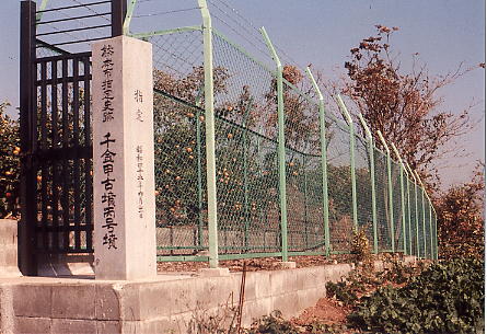 【格安saleスタート】 熊本市指定史跡 千金甲丙号古墳群 熊本市公式サイト / 人文